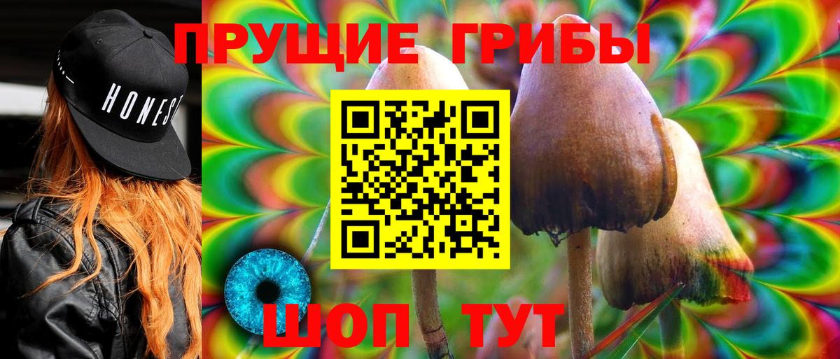 Псилоцибиновые грибы GOLDEN TEACHER  Вход с VPN  Псилоцибиновые грибы MAGIC MUSHROOMS  Миасс 